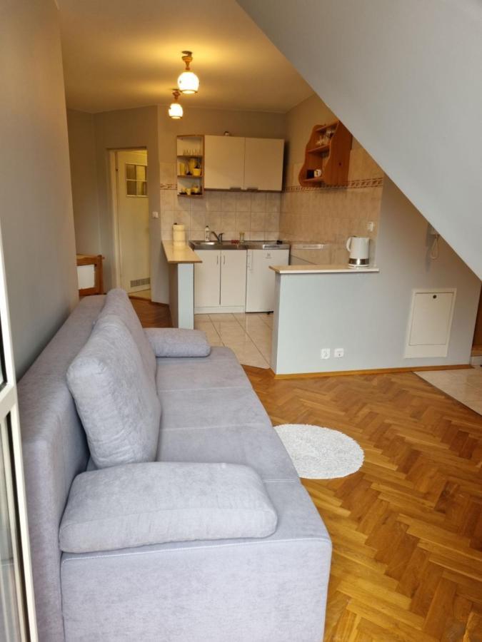 Apartament Droga Na Bystre 9A Apartment Закопане Екстериор снимка